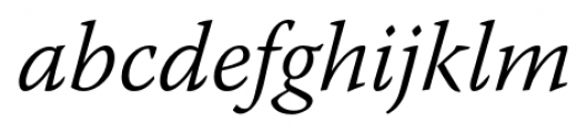 Warnock Pro Light Italic Font LOWERCASE