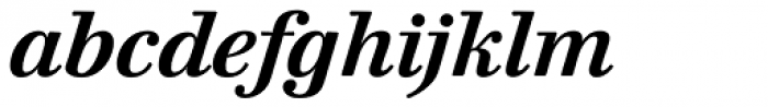 Walbaum 10 XL Pro Bold Italic Font LOWERCASE
