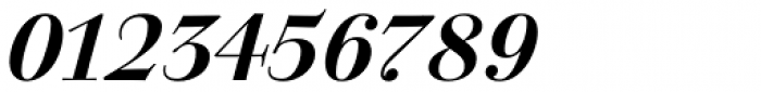Walbaum 120 XL Medium Pro Bold Italic Font OTHER CHARS