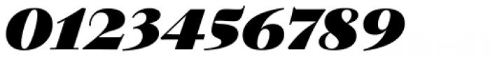 Walbaum 18 pt ExtraBold Italic Font OTHER CHARS