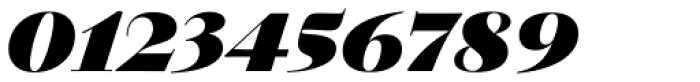 Walbaum 60 pt ExtraBold Italic Font OTHER CHARS
