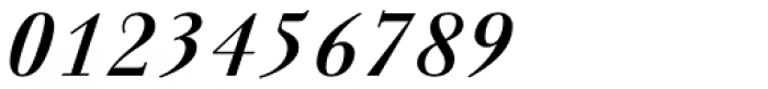 Walbaum Antiqua Pro DemiBold Italic Font OTHER CHARS