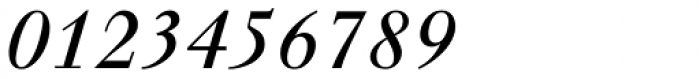 Walbaum LT Pro Italic Font OTHER CHARS