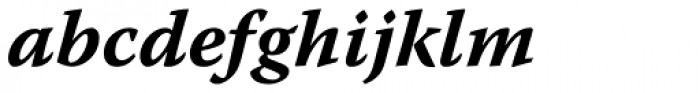 Warnock Pro Caption Bold Italic Font LOWERCASE