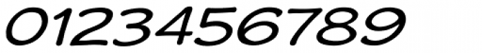 Wastrel Expanded Oblique Font OTHER CHARS