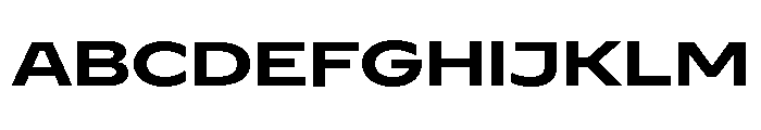 Watch Bold Font UPPERCASE