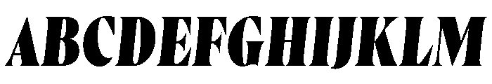 Wayfinder Heavy Italic Font UPPERCASE