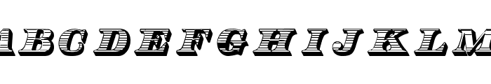 TypeThirteenWF Font LOWERCASE