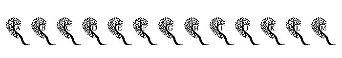 Wedding Heart Tree Font UPPERCASE