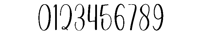 Wedding Photographer Font OTHER CHARS