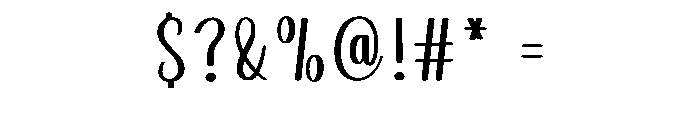 Wedding Photographer Font OTHER CHARS