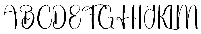 Wedding Photographer Font UPPERCASE