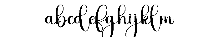 Wedding Photographer FONT