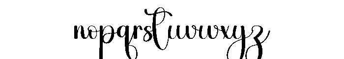 Wedding Photographer Font LOWERCASE