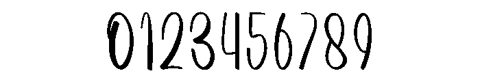 Wedding Santer Font OTHER CHARS