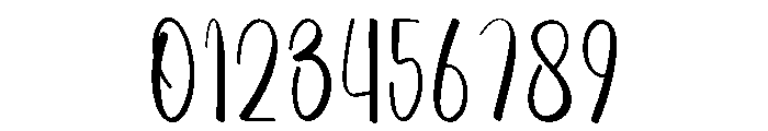 Wedding Zenitha Font OTHER CHARS
