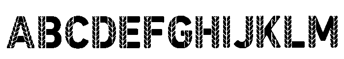 Wells Regular FONT