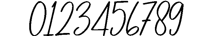 Wesley Signature Font OTHER CHARS