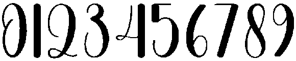 Wedding Regular otf (400) Font OTHER CHARS