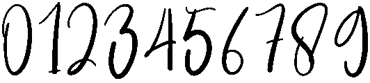 Wedding Regular otf (400) Font OTHER CHARS