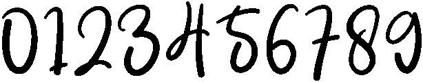 Wedding Regular otf (400) Font OTHER CHARS