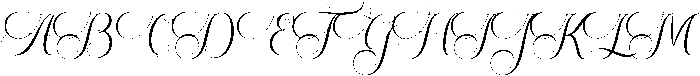 Wedding  Regular otf (400) Font UPPERCASE