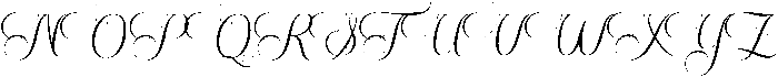 Wedding  Regular otf (400) Font UPPERCASE