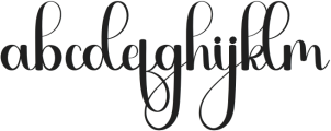 WeddingPhotographer Regular otf (400) FONT