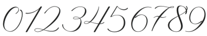 Wellington Script Regular otf (400) Font OTHER CHARS