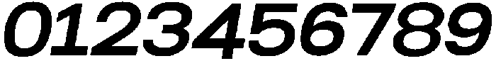 Werk-Neue Bold-Italic otf (700) Font OTHER CHARS