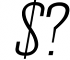 Wellston Modern Sans Serif Font Family 2 Font OTHER CHARS