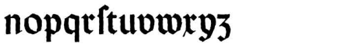 Weiss Rundgotisch Antique D Font LOWERCASE