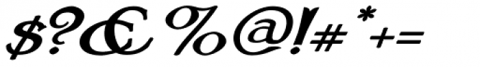 Wellingborough Italic Font OTHER CHARS