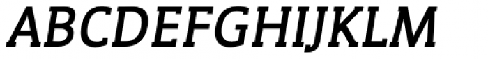 WerkSerif Bold Italic Font UPPERCASE