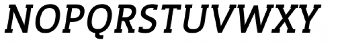 WerkSerif Bold Italic Font UPPERCASE