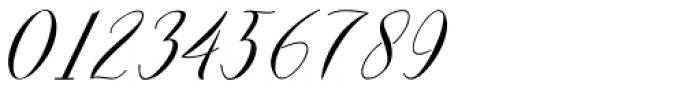 Werklust Italic Font OTHER CHARS