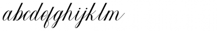 Werklust Italic Font LOWERCASE
