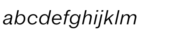 Werksatz Regular Italic FONT
