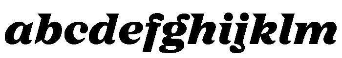 FC Nib Black Italic FONT