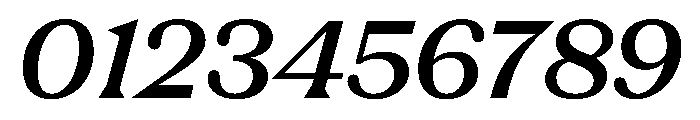 FC Nib Bold Italic Font OTHER CHARS