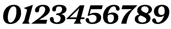 FC Nib ExtraBold Italic Font OTHER CHARS