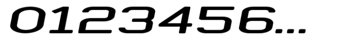 Whyst Wide Italic Caps Font OTHER CHARS