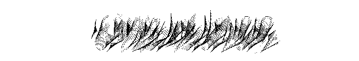 WHOASpine Maximum Instance Font OTHER CHARS