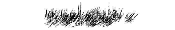 WHOASpine Maximum Instance Font OTHER CHARS