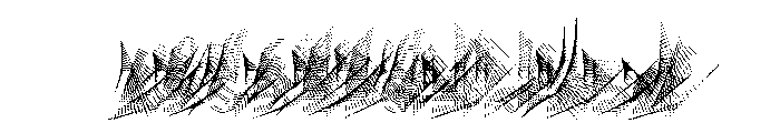 WHOASpine Maximum Instance FONT