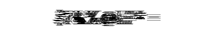 WHOASpine Slide Instance Font OTHER CHARS