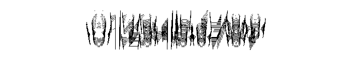 WHOASpine Wedge Instance Font OTHER CHARS