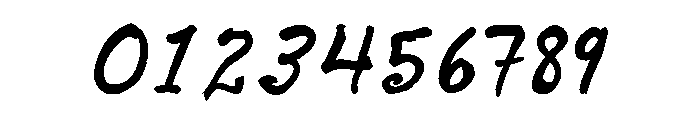 Willard Sniffin Script Bold Italic Font OTHER CHARS
