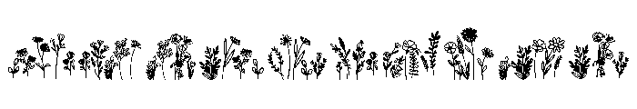 WITH FLOWERS Font OTHER CHARS
