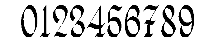 Wielgard Font OTHER CHARS